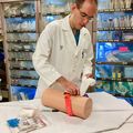 Stop the bleed