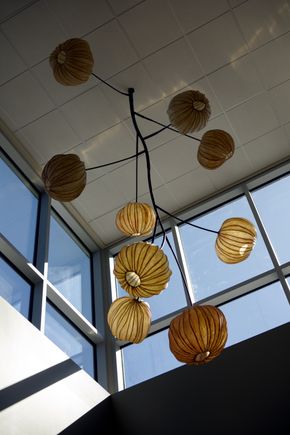 Knight Cancer Collaborative