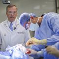 Brain surgery simulator