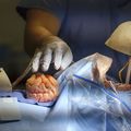 Brain surgery simulator
