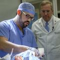 Brain surgery simulator