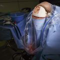 Brain surgery simulator
