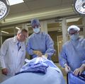 Brain surgery simulator