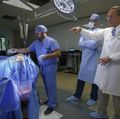 Brain surgery simulator