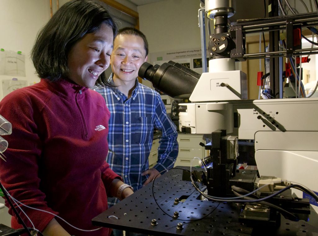 a female and male scientist, looking into a microscope