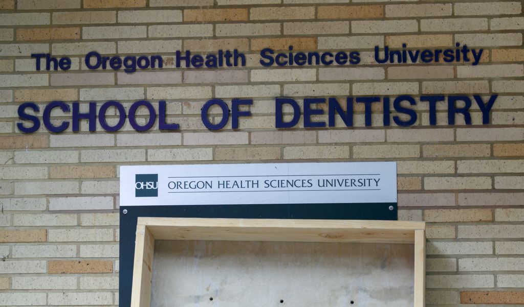 School of Dentistry - demolition