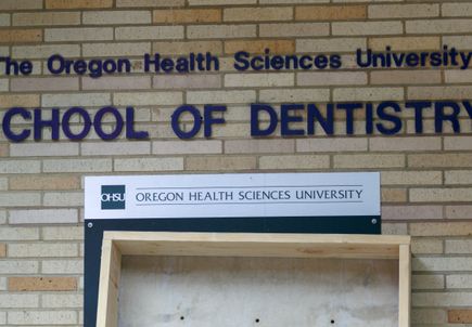 School of Dentistry - demolition