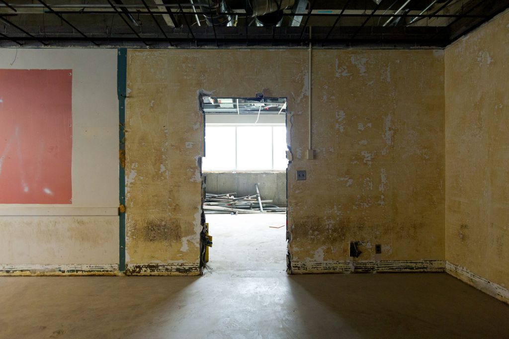 School of Dentistry - demolition