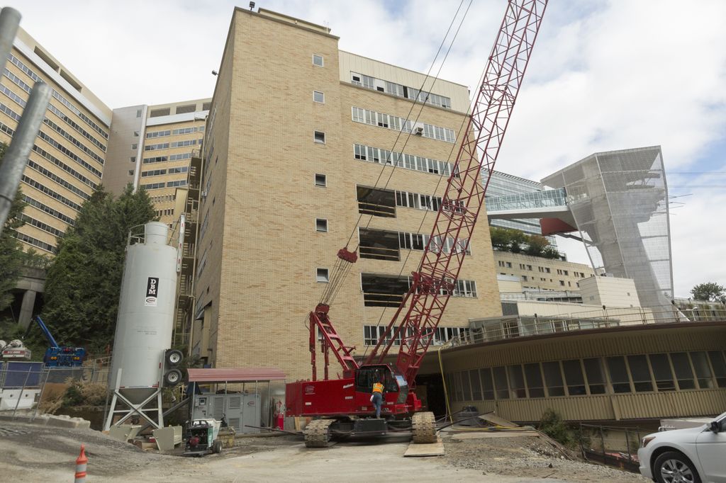 School of Dentistry demolition