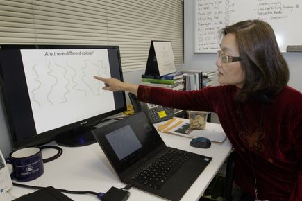 Anna Roe, Ph.D.