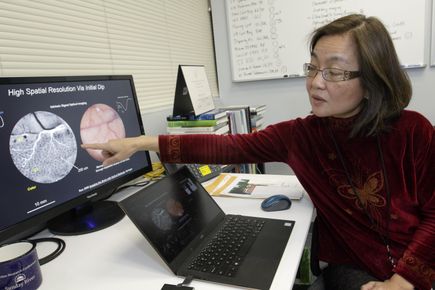 Anna Roe, Ph.D.