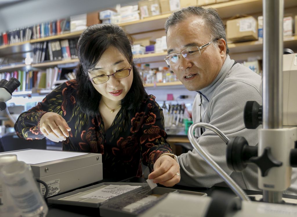female and male researchers looking over microscope slides