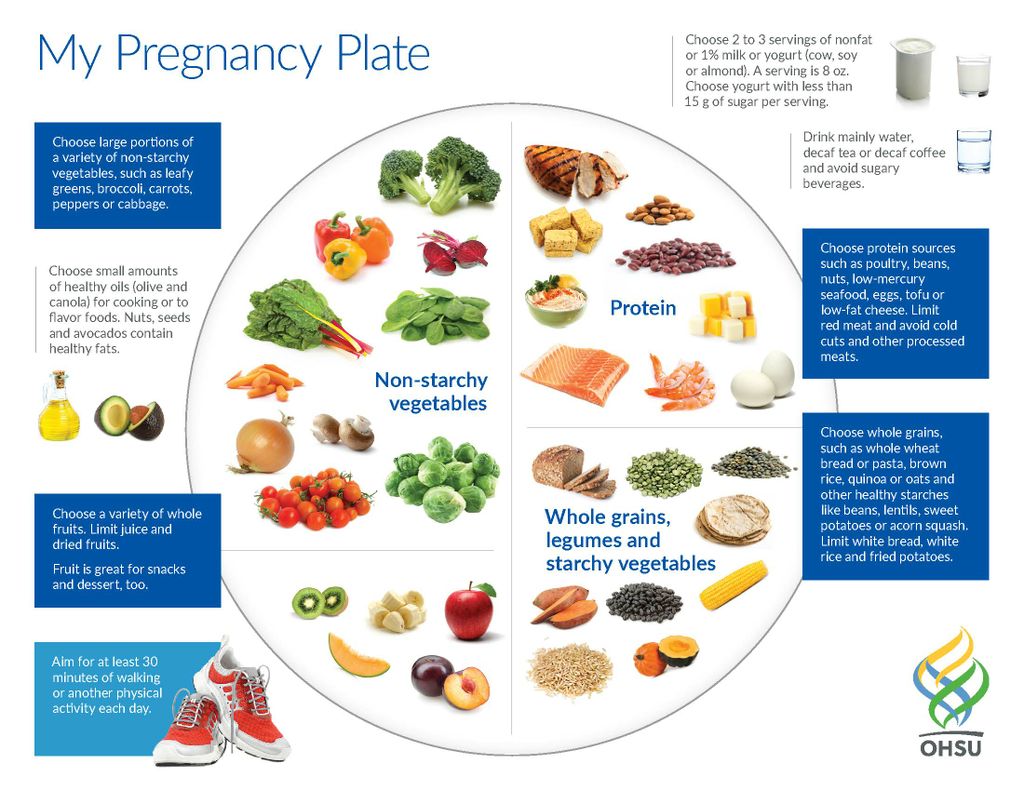 Graphic showing a plate showing the best things for women to eat while pregnant