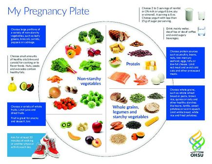 My Pregnancy Plate (PDF)
