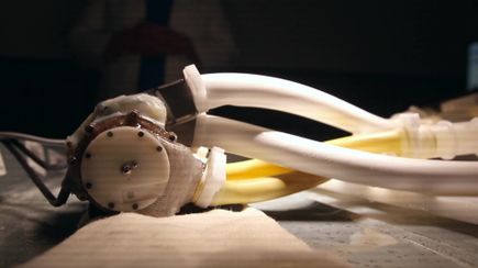 Download video: Total artificial heart prototype