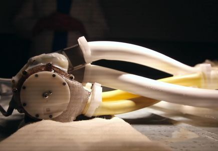 Download video: Total artificial heart prototype