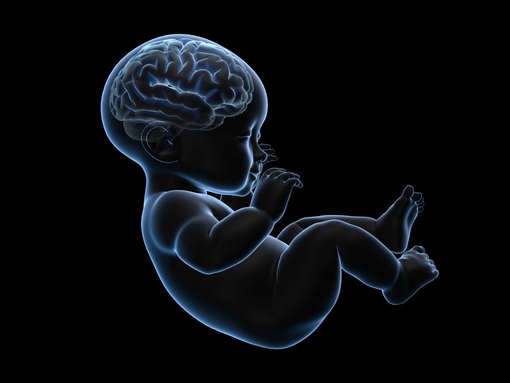 Baby brain development