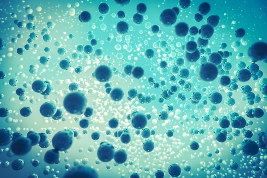 Cells