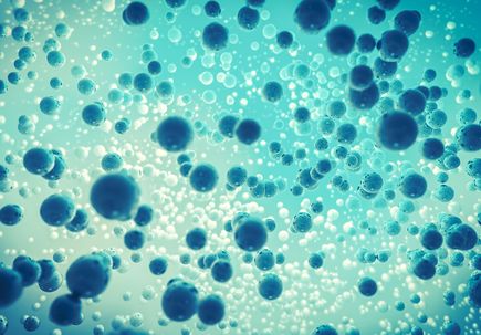 Cells