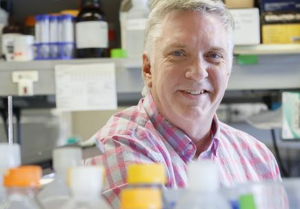 Peter Barr-Gillespie, Ph.D.