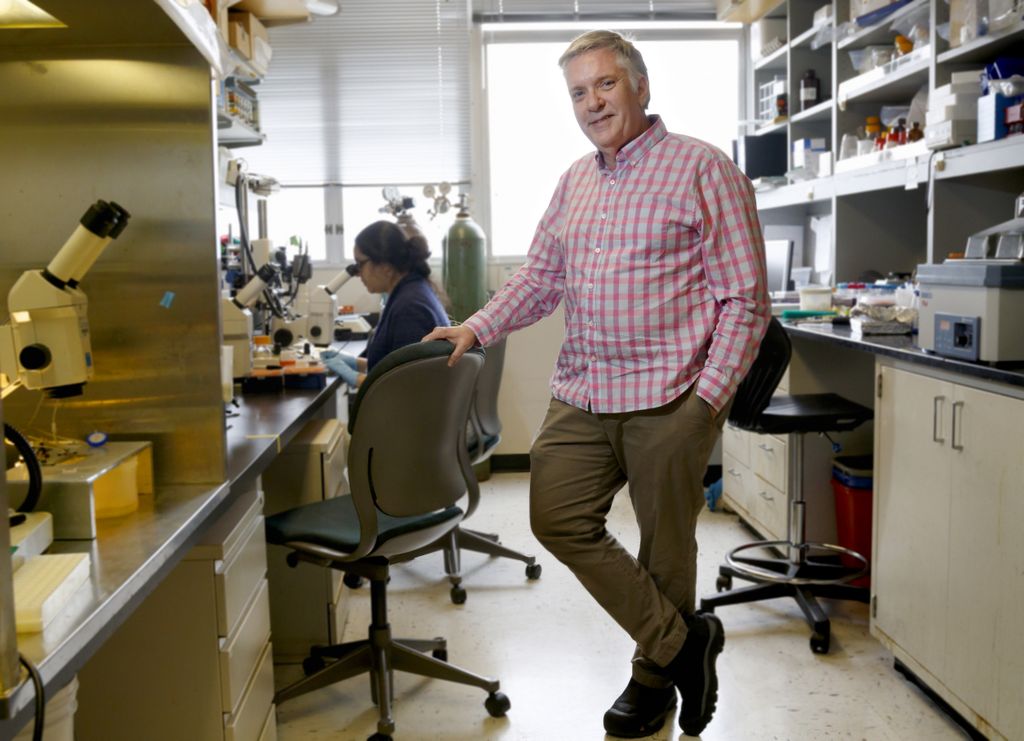 Peter Barr-Gillespie, Ph.D., standing in research lab