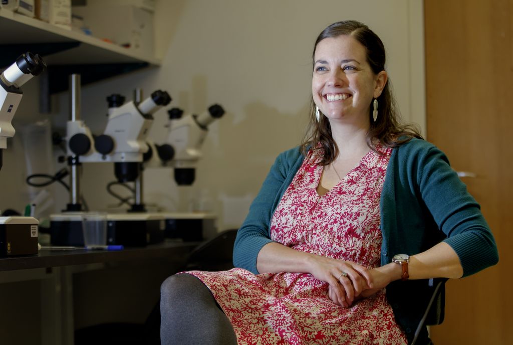 Kelly Monk, Ph.D.