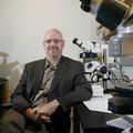 Dan Marks, M.D., Ph.D.