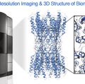 Cryo-EM