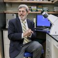 Edward Neuwelt M.D.