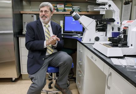 Edward Neuwelt M.D.