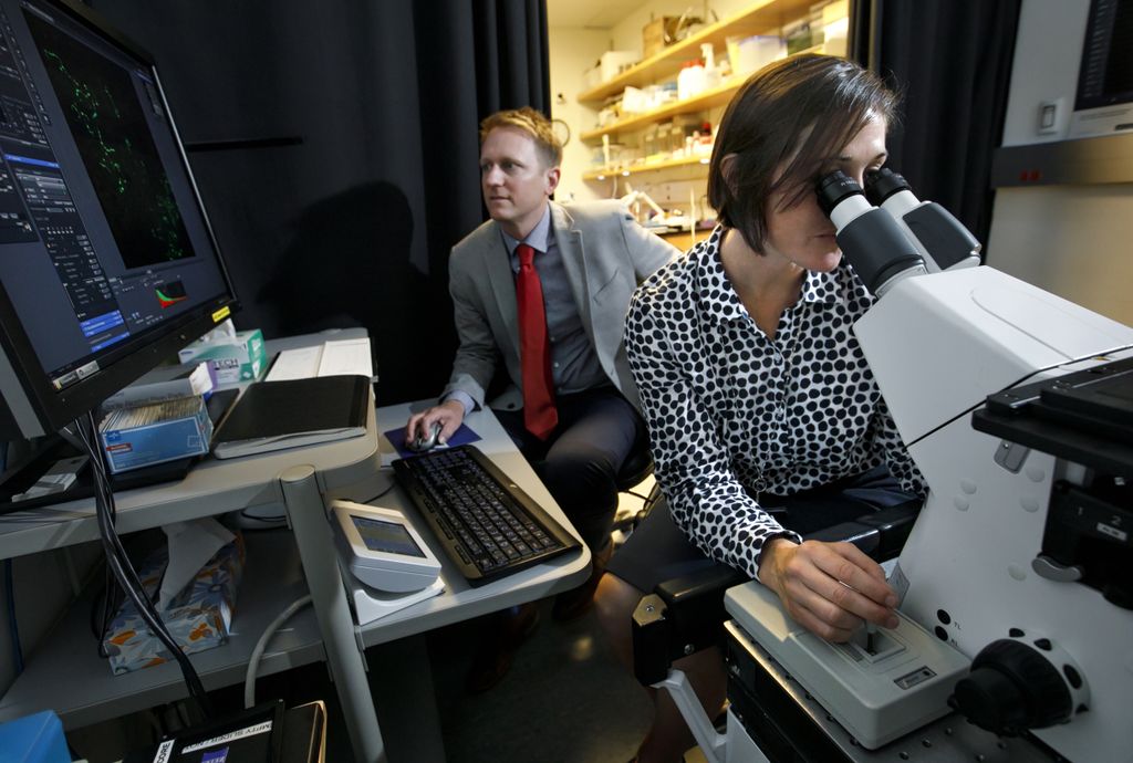 Asthma research