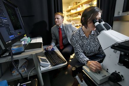 Asthma research