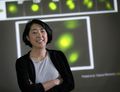 Tumor cells fuse with immune cells and become more aggressive 