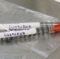 Luxturna gene therapy