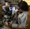 Genome editing