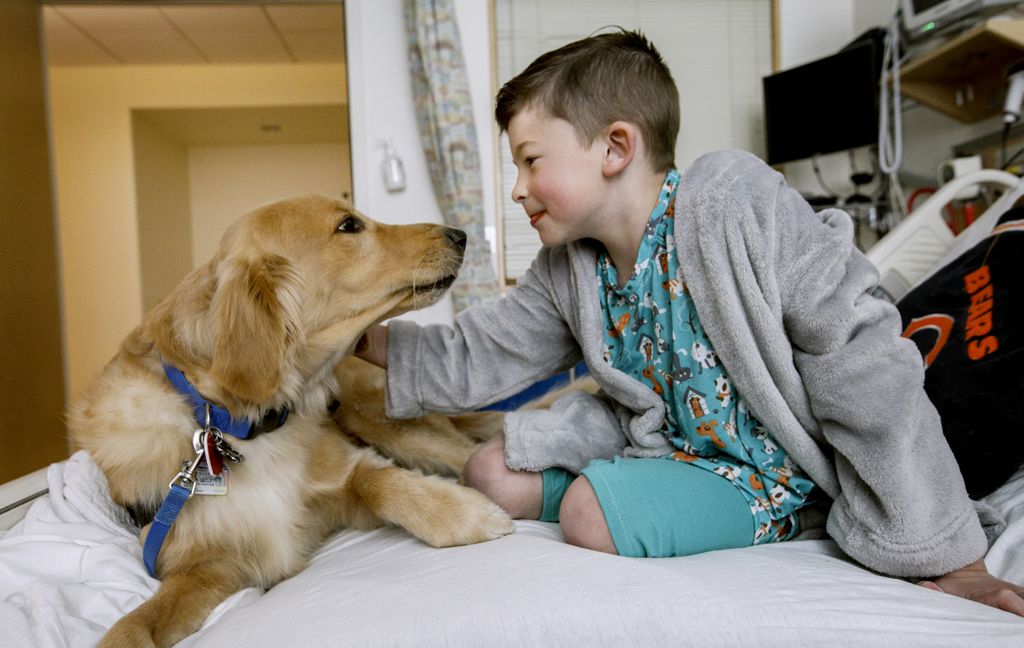 golden retriever on the hospital bed with a young boy, who is petting the dog. they are looking one another in the face.