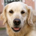 Hope headshot (2018)