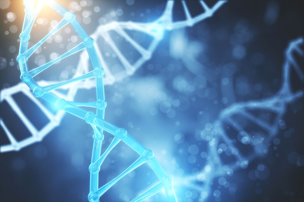 DNA gene