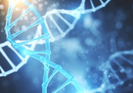 DNA gene