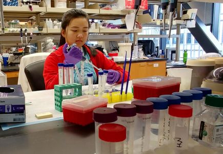 Careers in cancer: Apply now