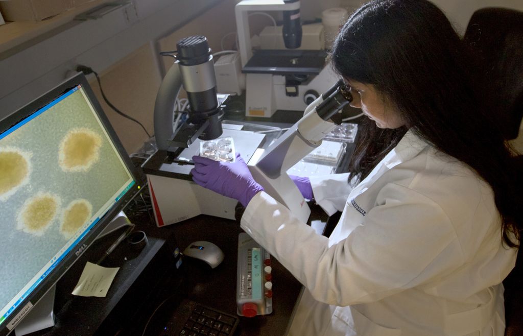 woman looking into microscope with images of cells on screen to her left