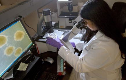 AML Research