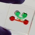 Tooth-on-a-chip