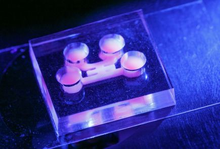 Tooth-on-a-chip