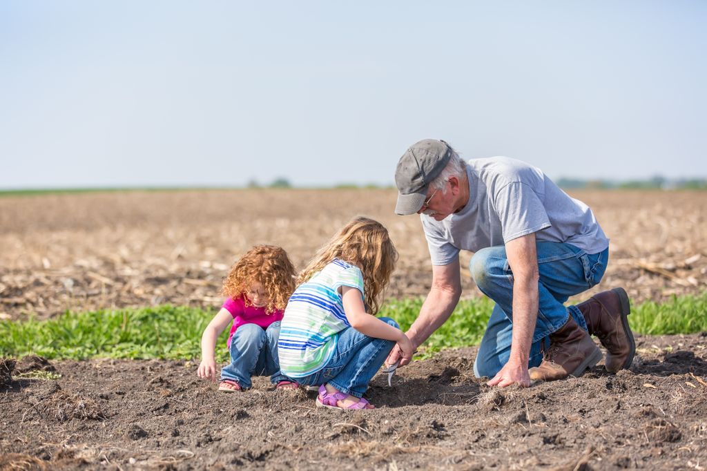 grandfather farmer kneeling on the dirt in a field, with two young girls, planting something in the dirt
