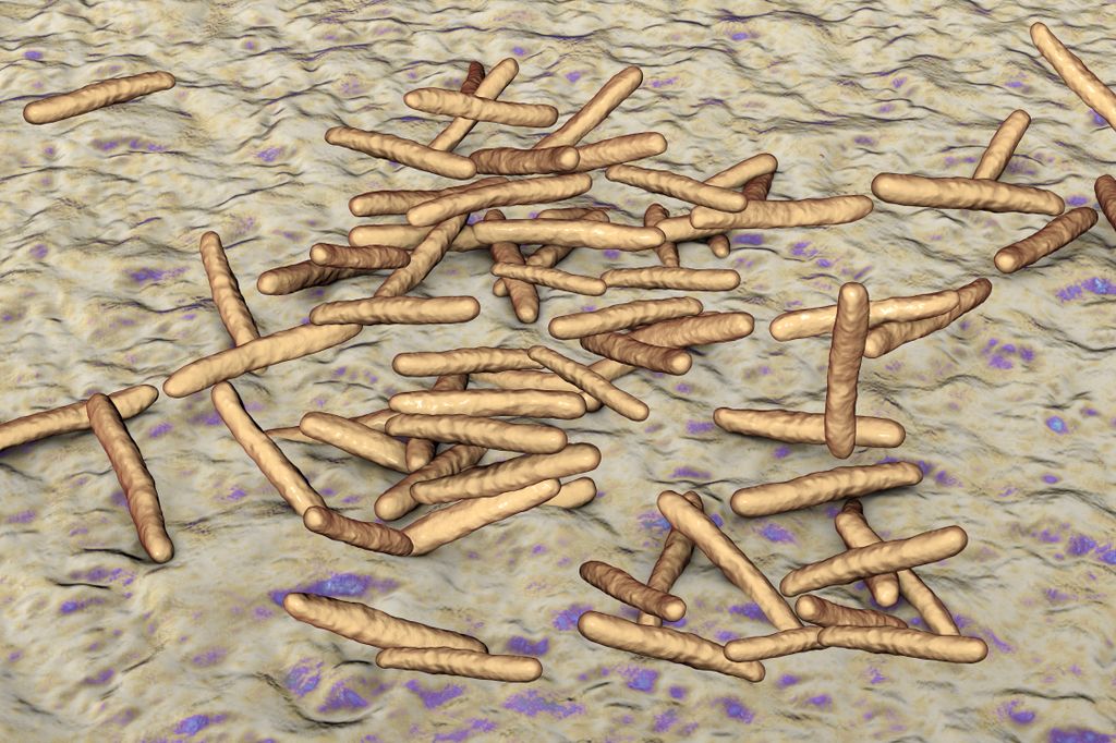 Nontuberculous mycobacteria
