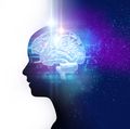 Brain awareness