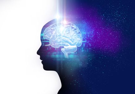 Brain awareness
