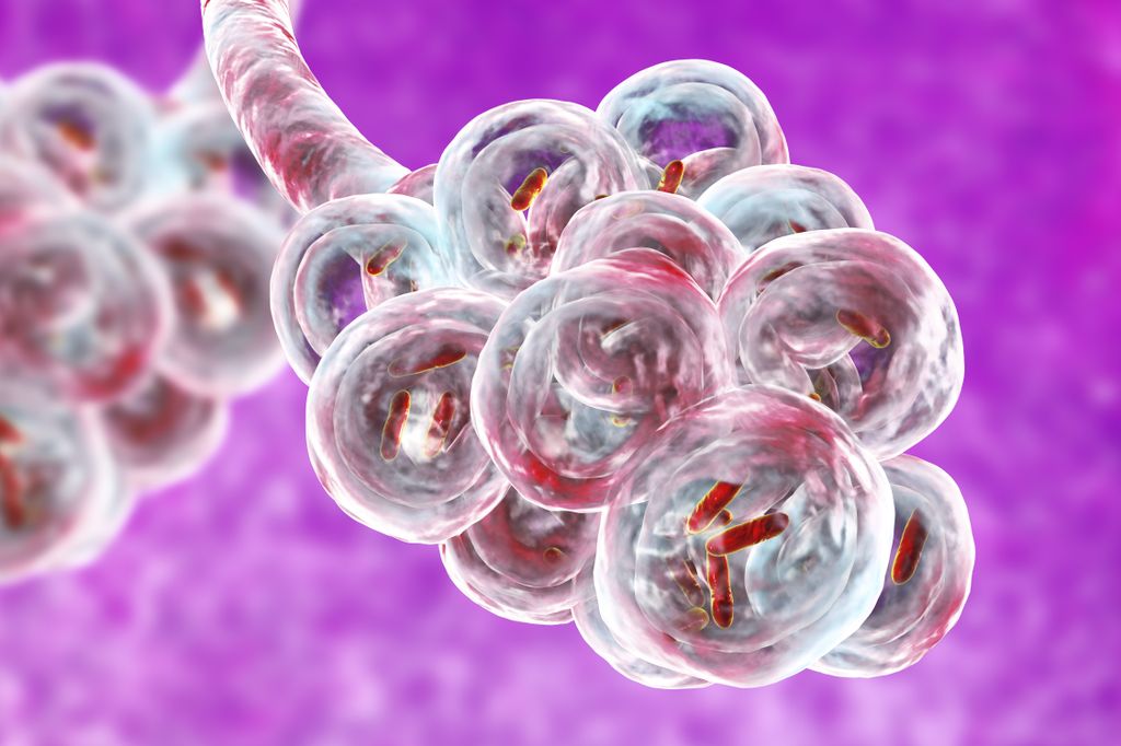 Cells
