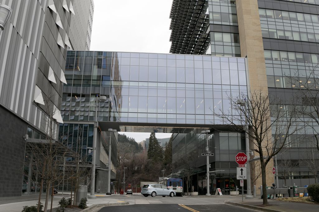 CHH2 skybridge
